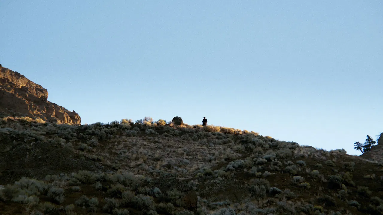 A Fools Paradise backdrop