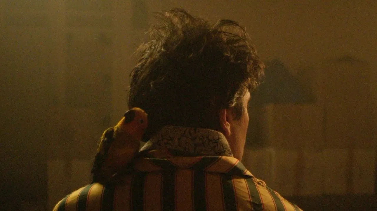 The Starry Sky Above Me backdrop