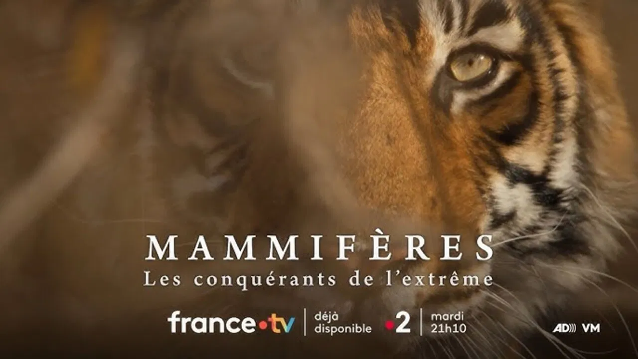 Mammifères, les conquérants de l'extrême backdrop