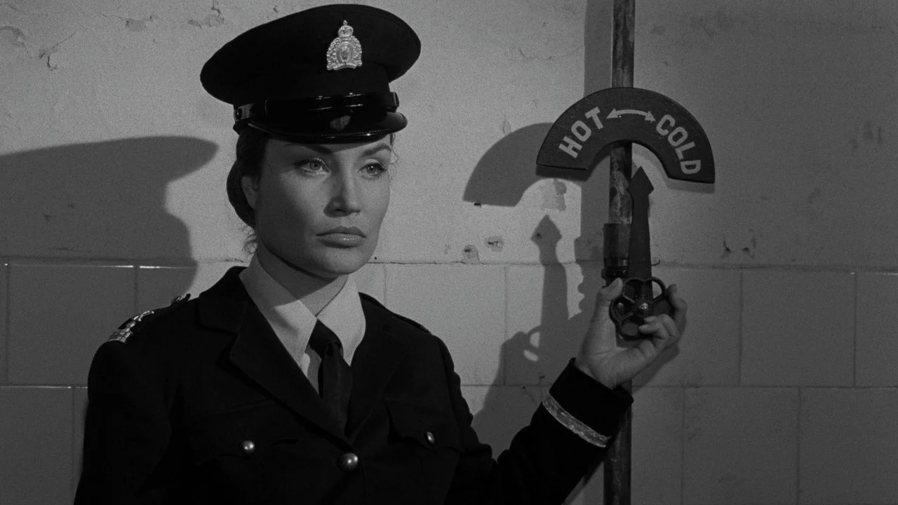 Devil's Girls backdrop