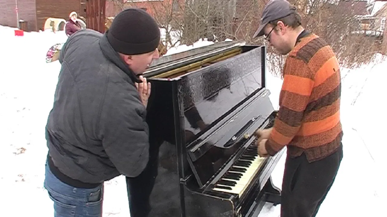 The Flea Waltz backdrop