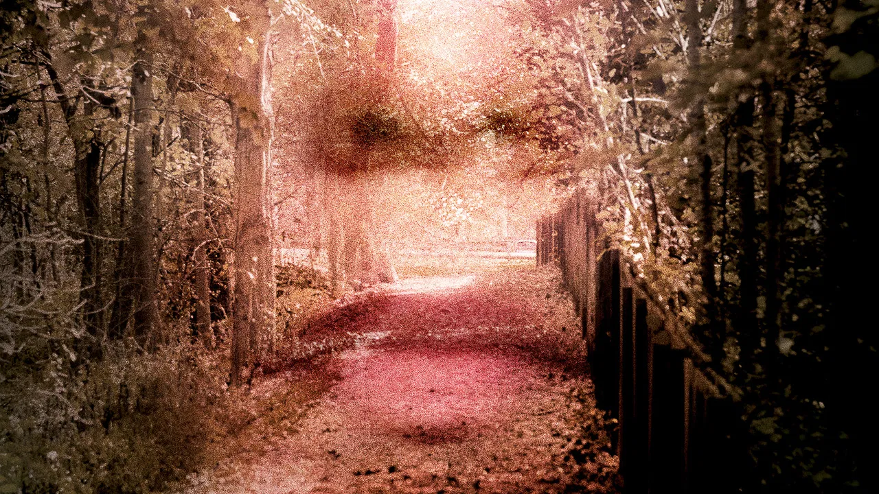 Gone: The Forgotten Women of Ohio backdrop