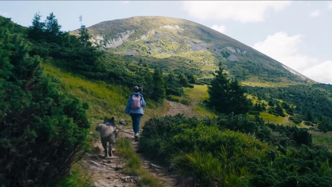 No Shade In The Forest backdrop