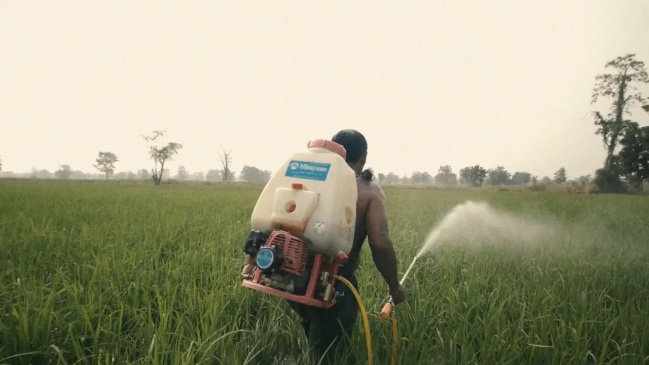 Scene and Life backdrop