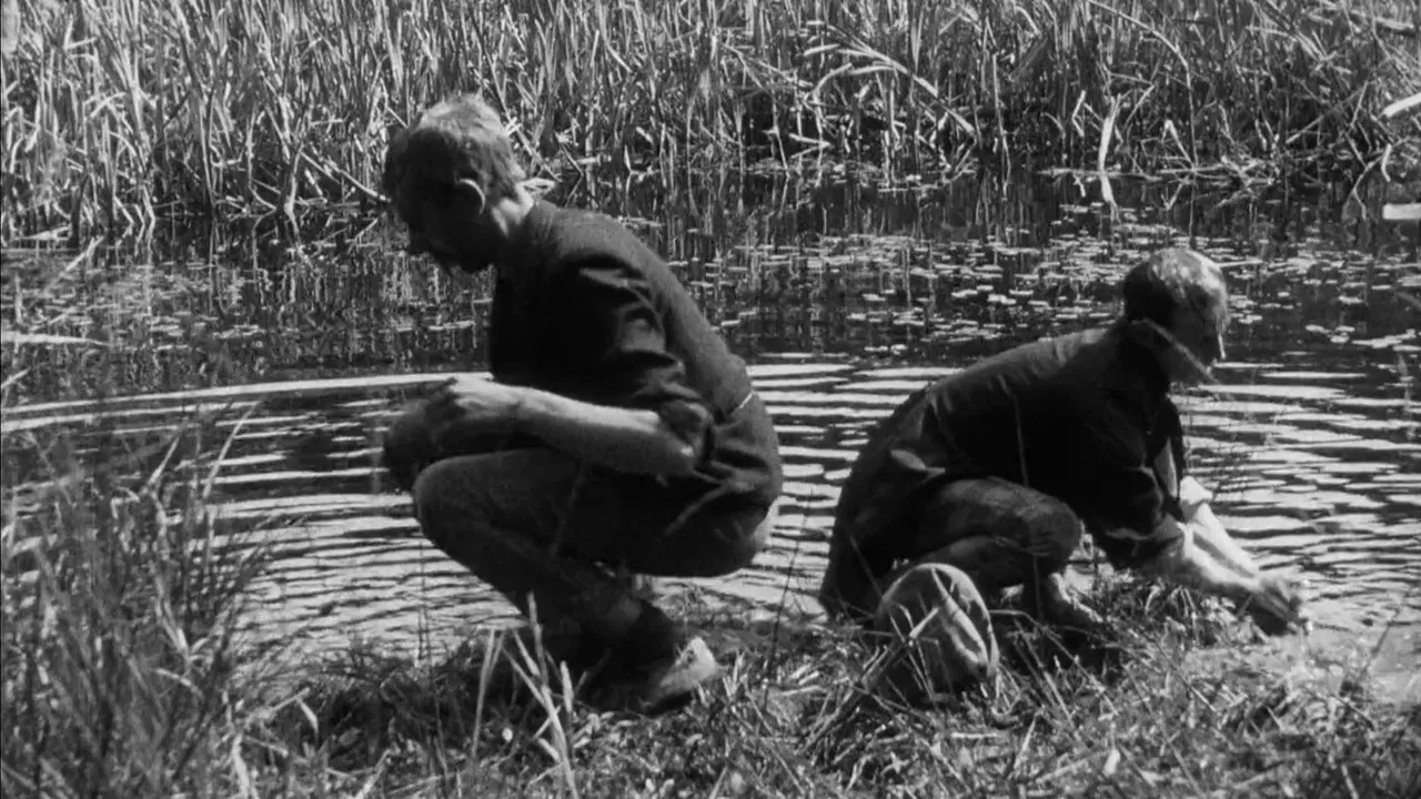 Love and Burglars backdrop