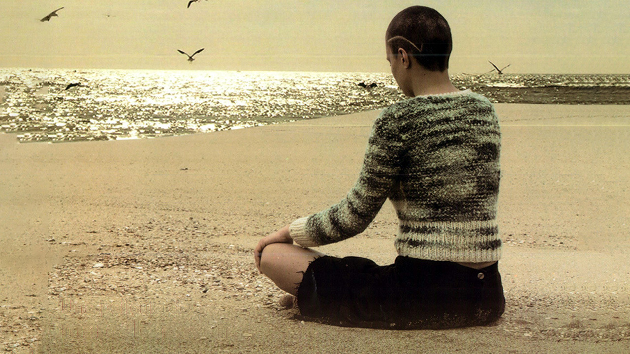 Devil's Point backdrop