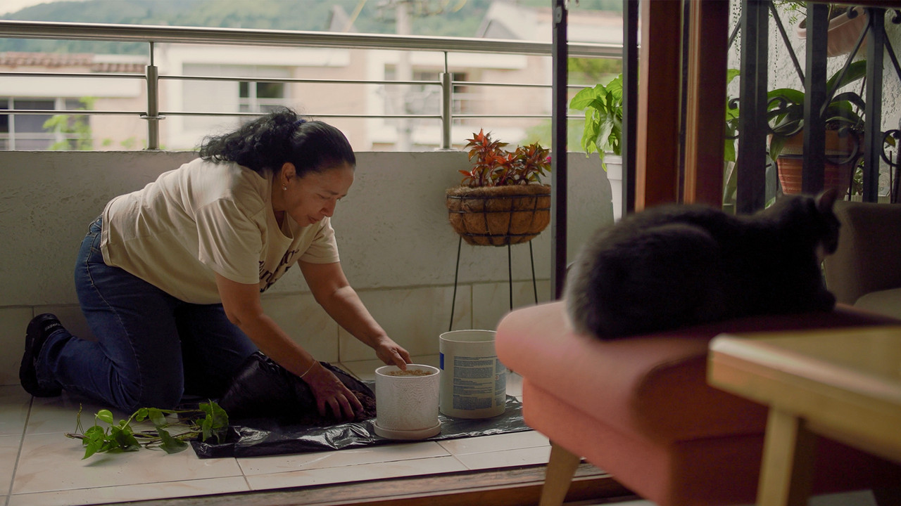 Cuidado de una Orquidea backdrop