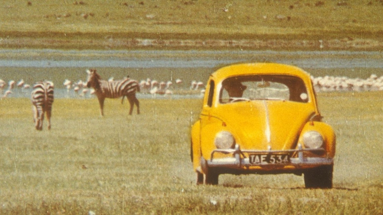 The Love Bug Rally backdrop