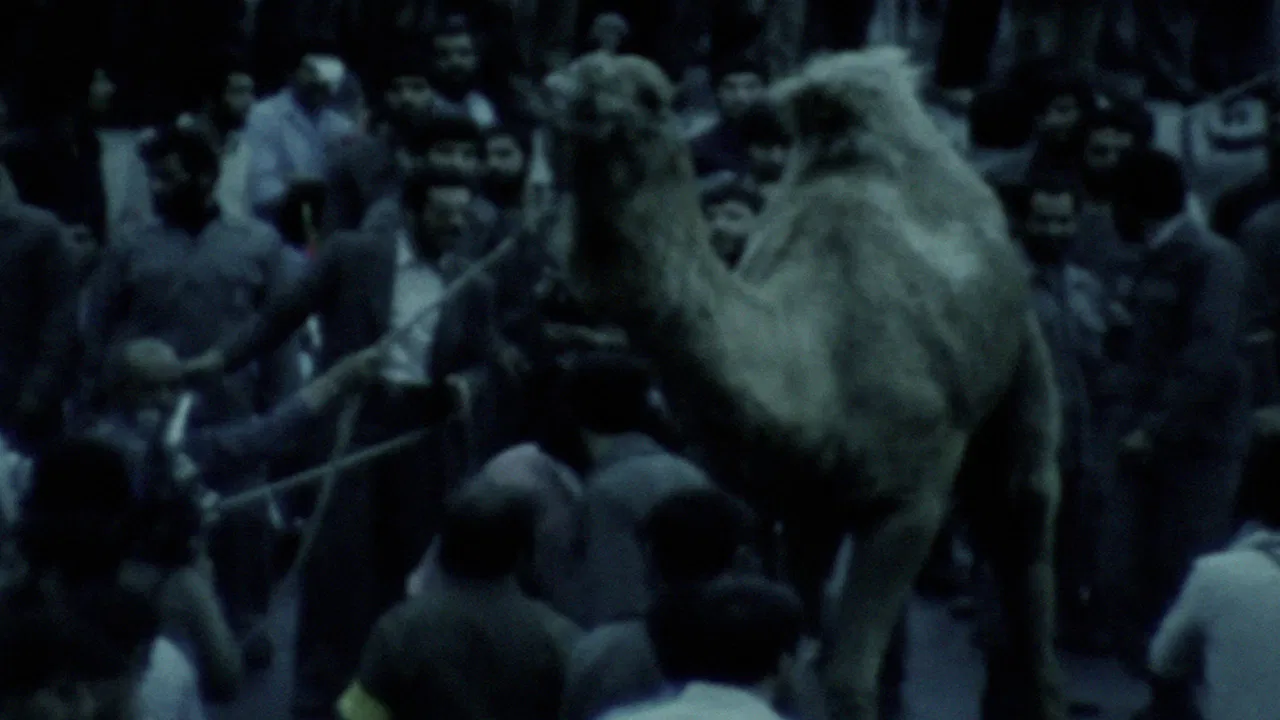 Slaughter (Besmel) backdrop