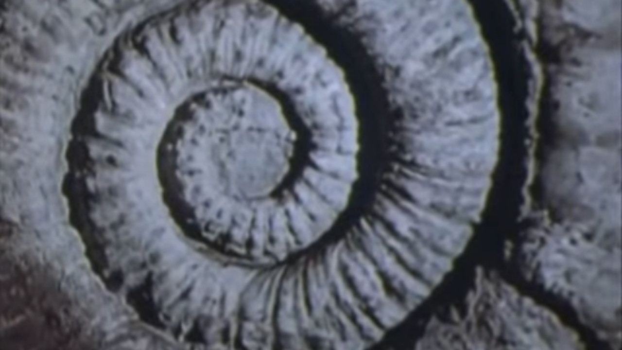 Vernadsky's Law backdrop