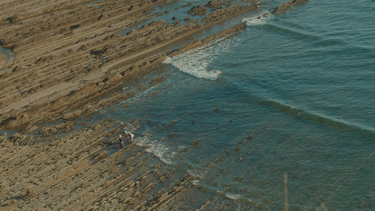 The Disease Has Taken the Farmhouse backdrop