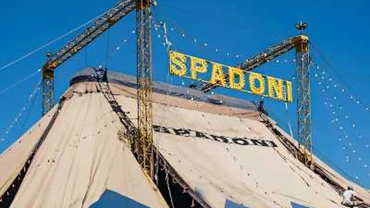 O Circo Voltou backdrop