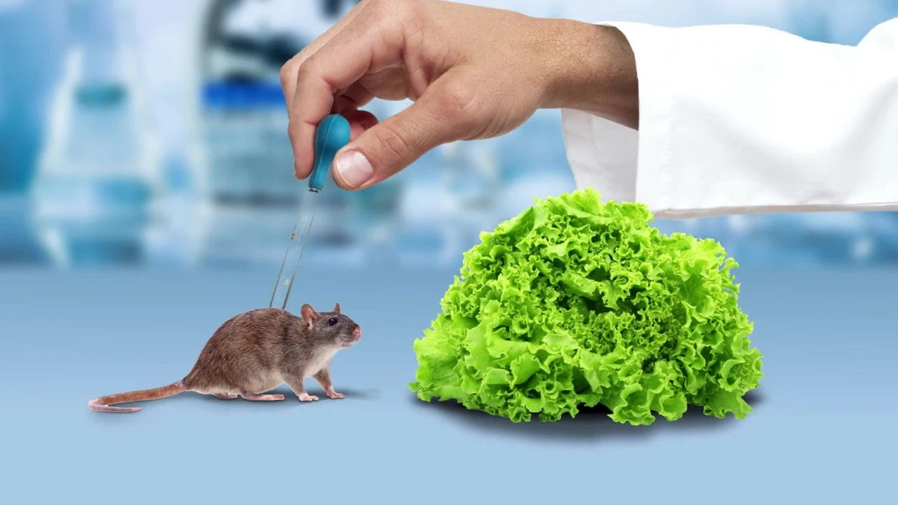 The Weight of Chains 3 backdrop