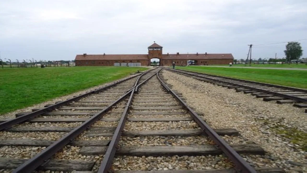 German Sons backdrop