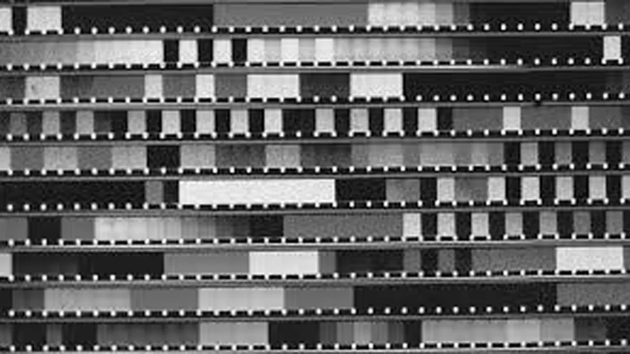 Os Sonacirema backdrop