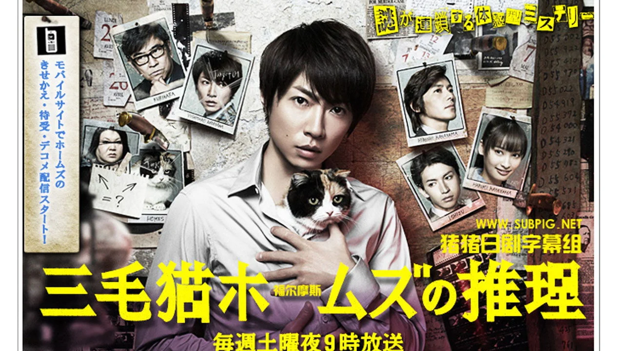 Mysteries of Detective Cat HOLMES backdrop