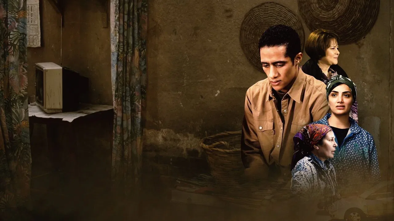 Shubra Rotation backdrop