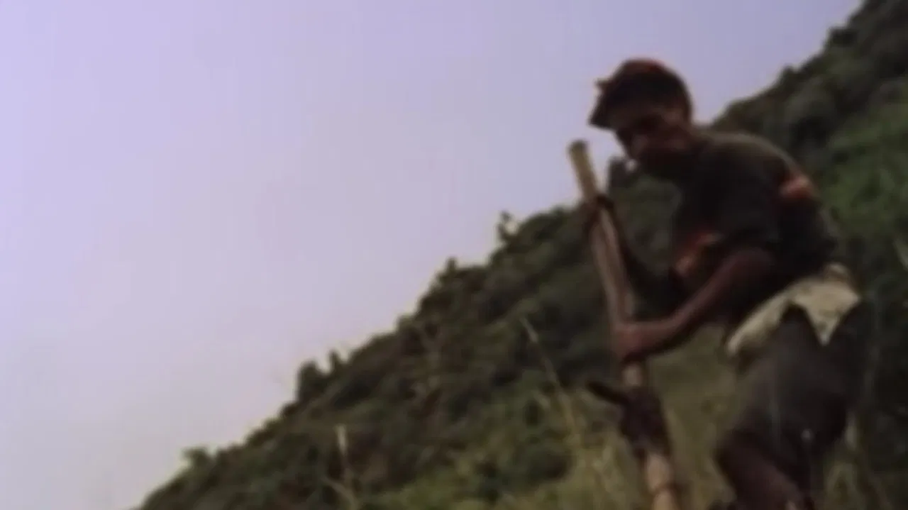 Peru: The Revolution that never was backdrop