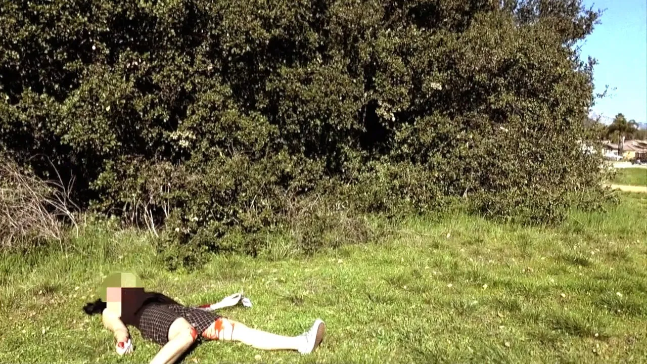 Fluid Fields backdrop