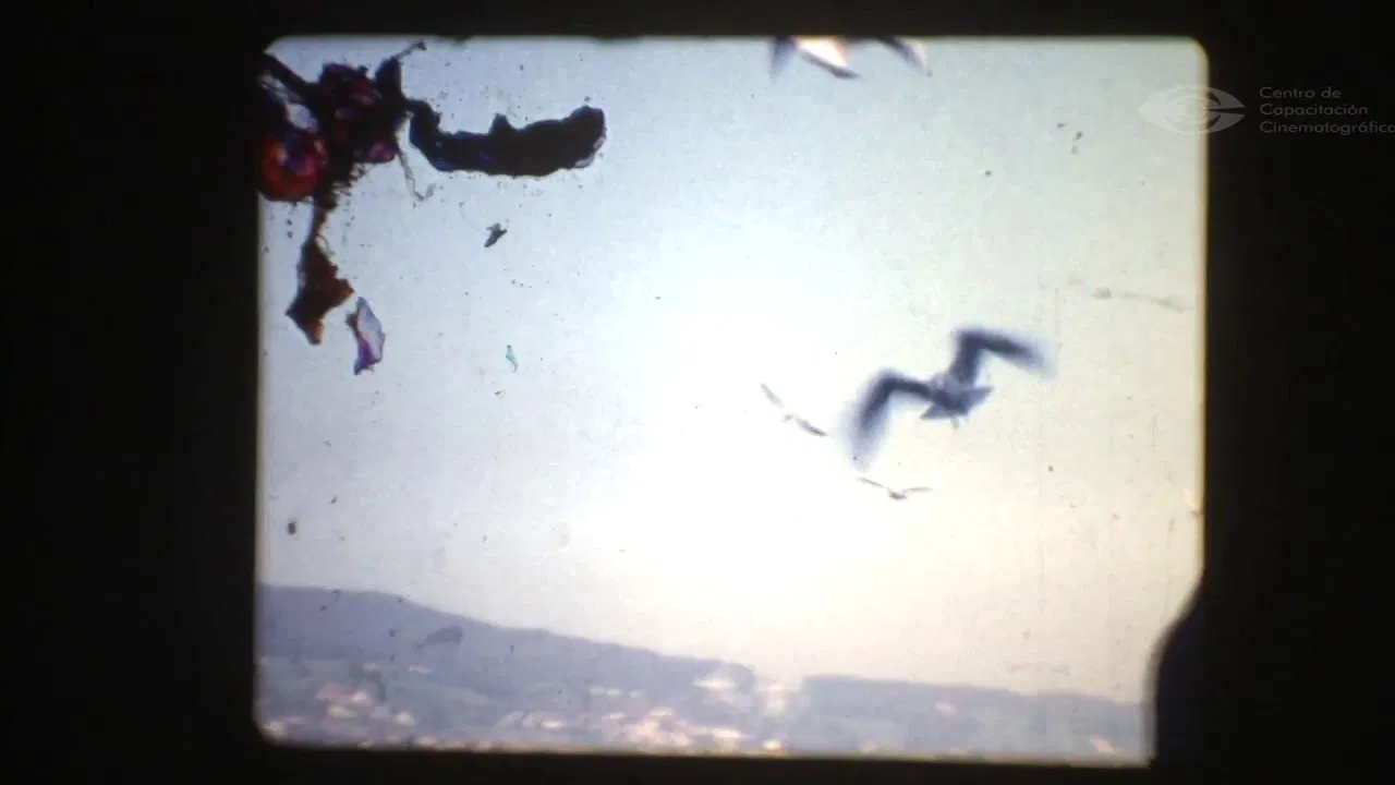 Lupulos' House backdrop