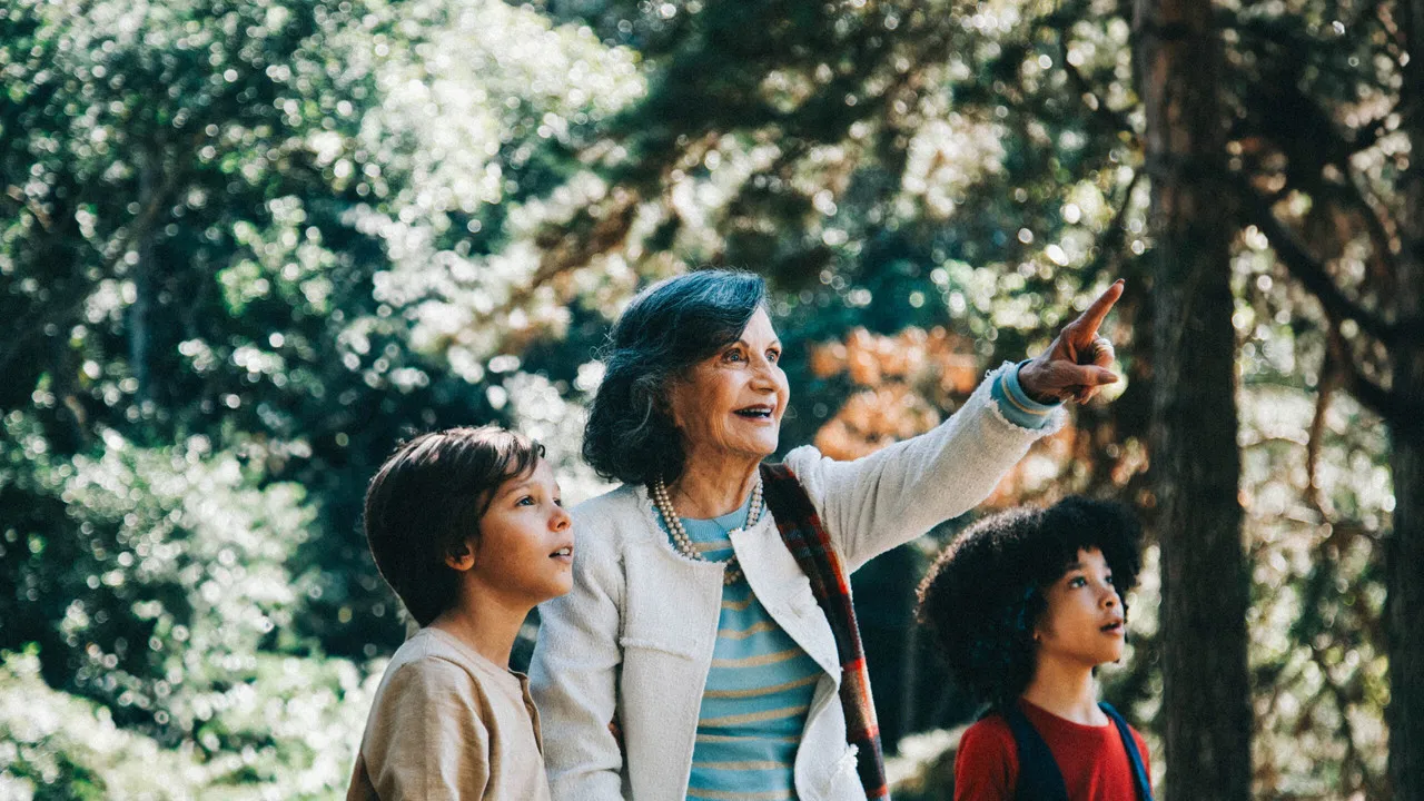 The Taste of the Blackberry backdrop
