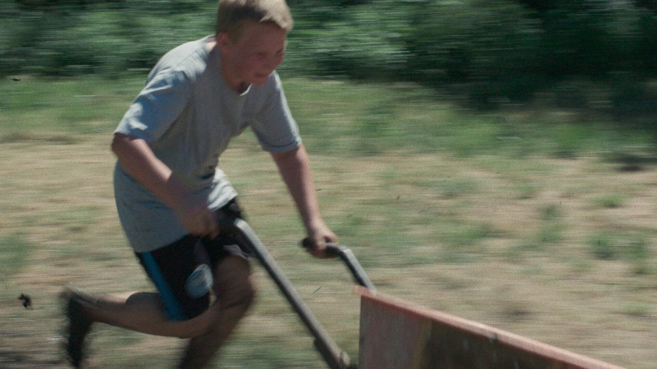 The Delights backdrop