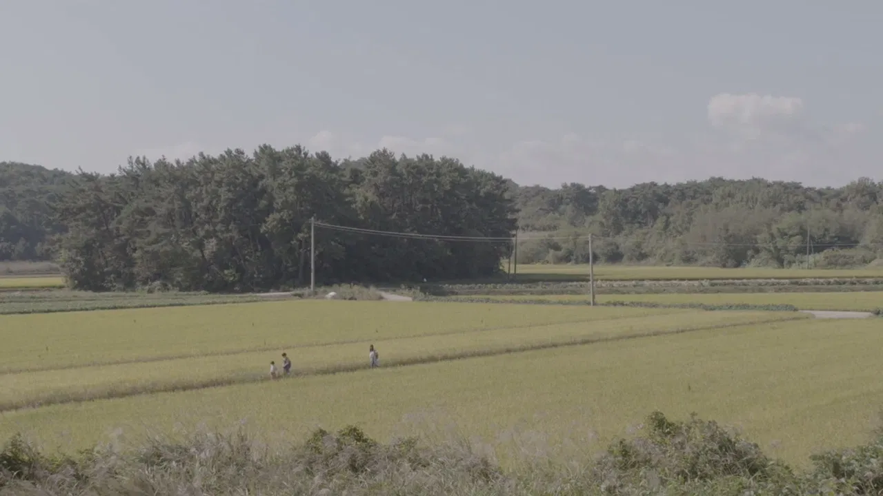 The House of Rising Sun backdrop