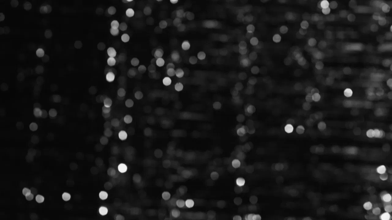 Grace Estrela backdrop