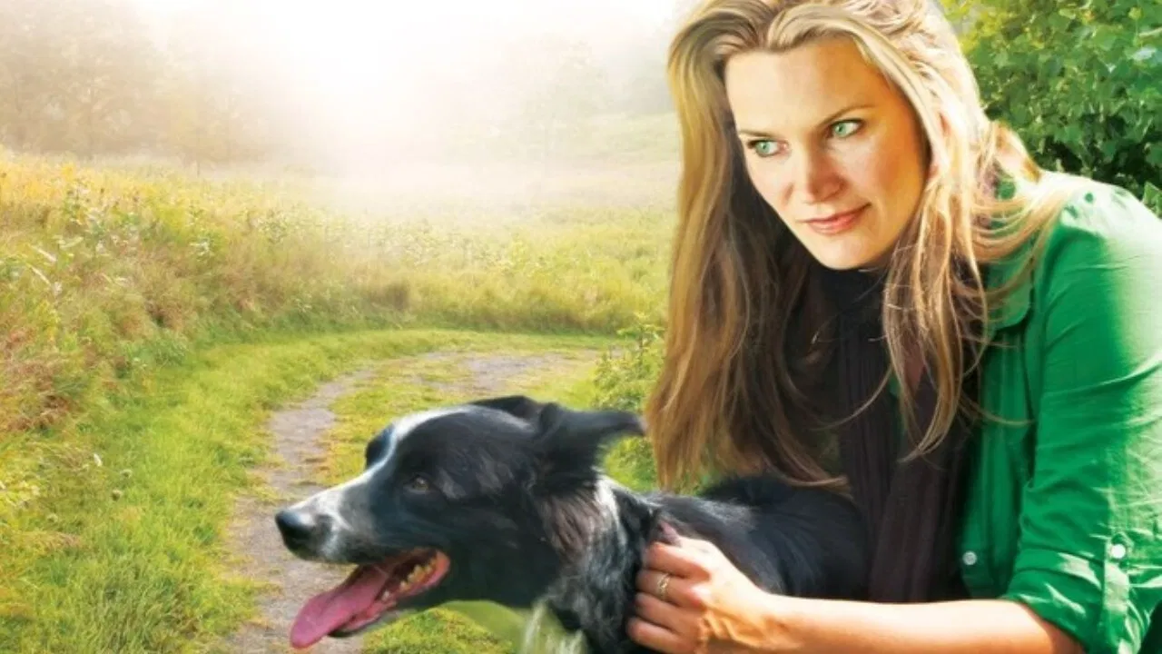 You Lucky Dog backdrop