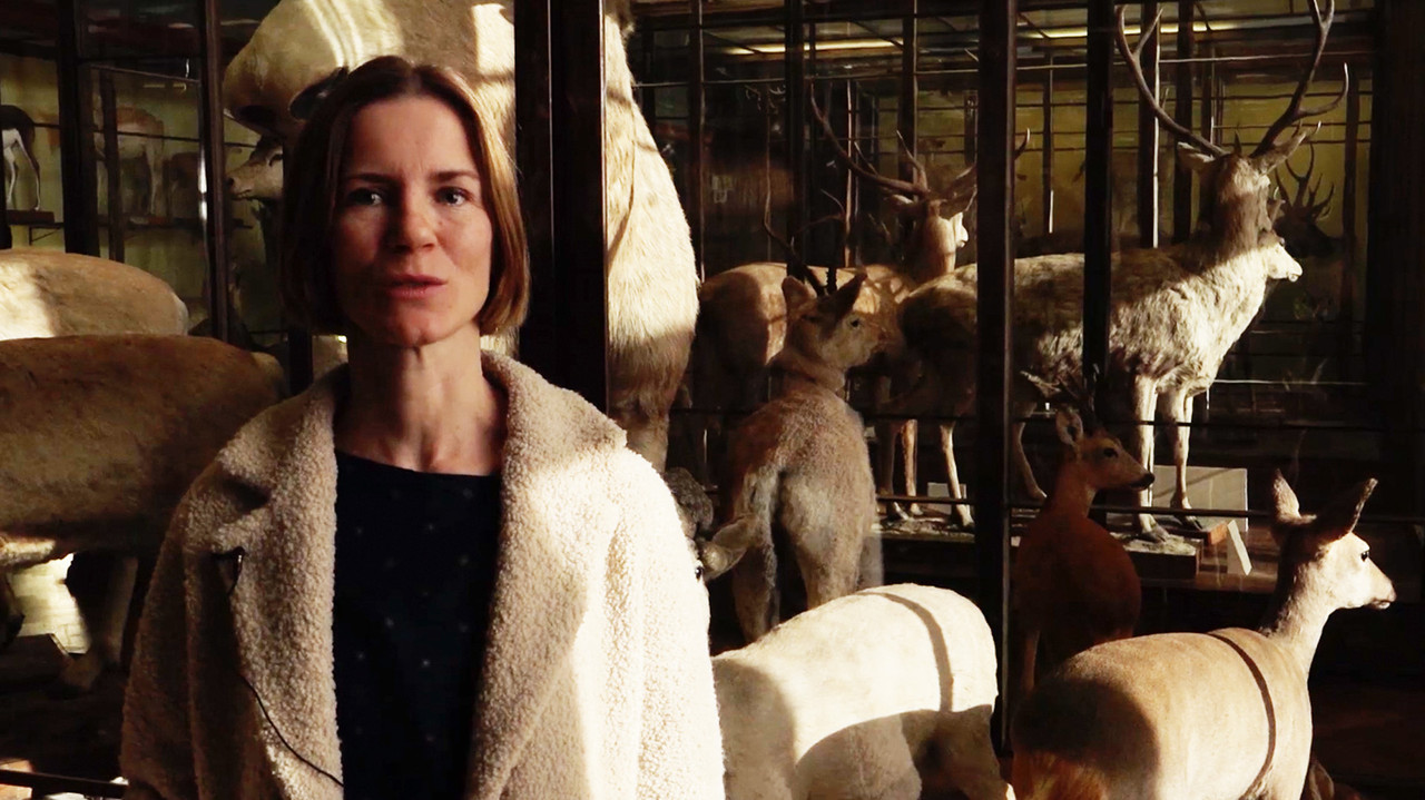 Instead of Trees backdrop