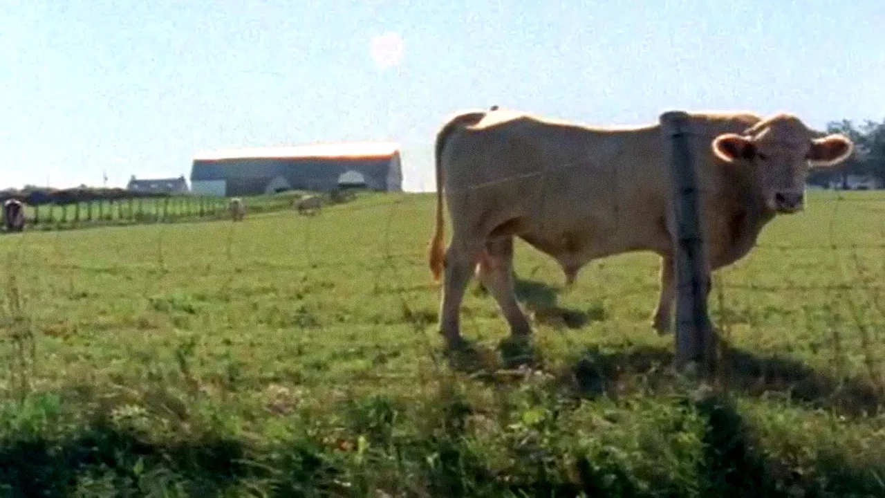 Québec à vendre backdrop