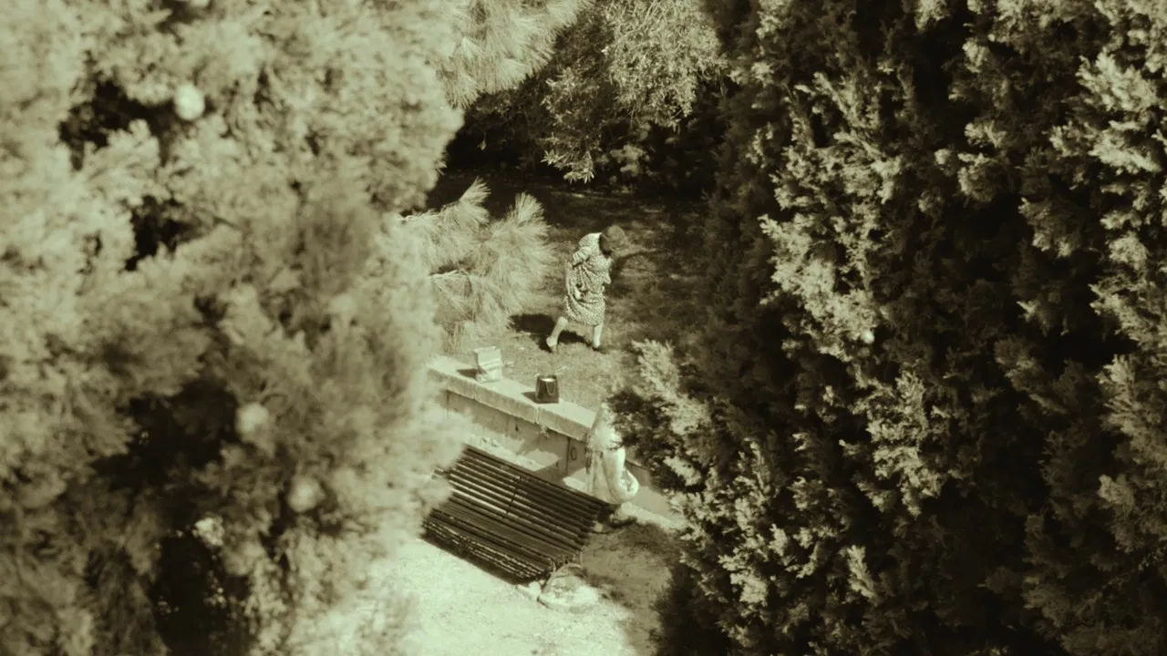 Women picking up olives backdrop
