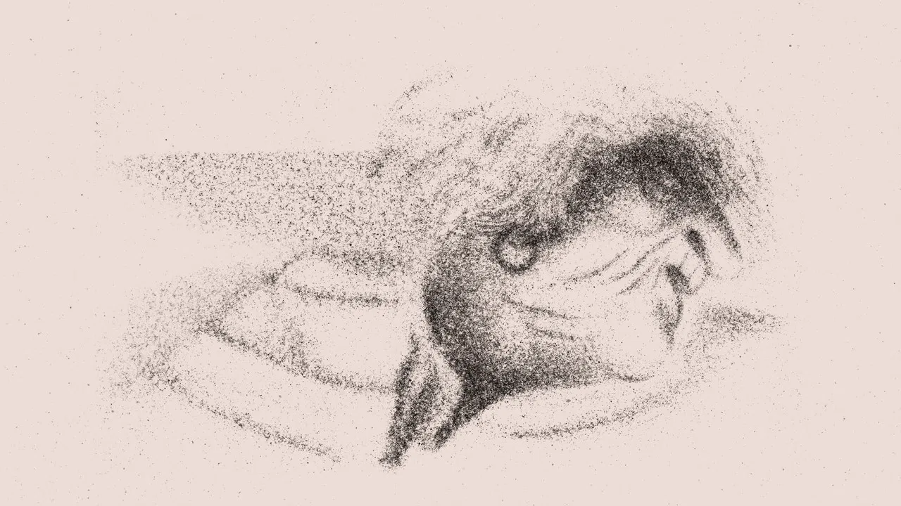 Chloé Van Herzeele backdrop