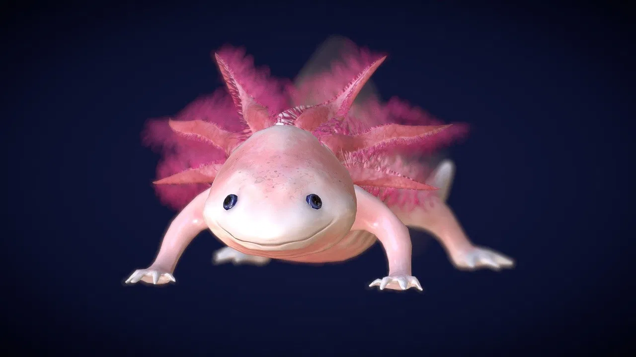Axolotl, la salamandre miraculeuse backdrop