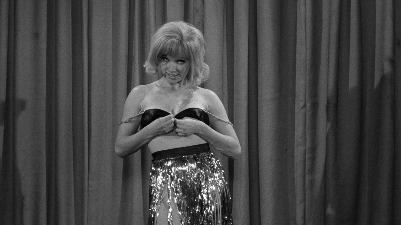 Beware the Black Widow backdrop