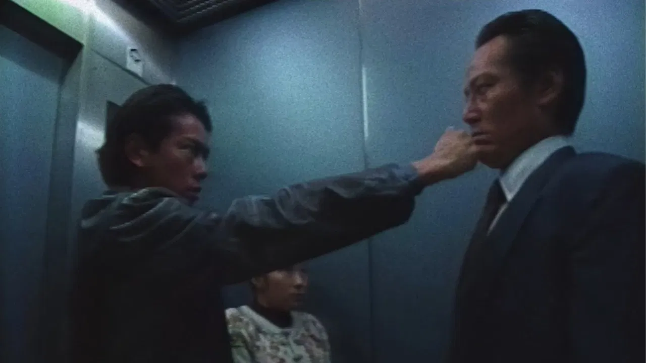 Abare Bunya backdrop