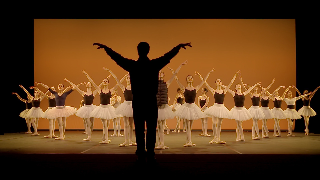 Seule la danse, une année au conservatoire de Paris backdrop