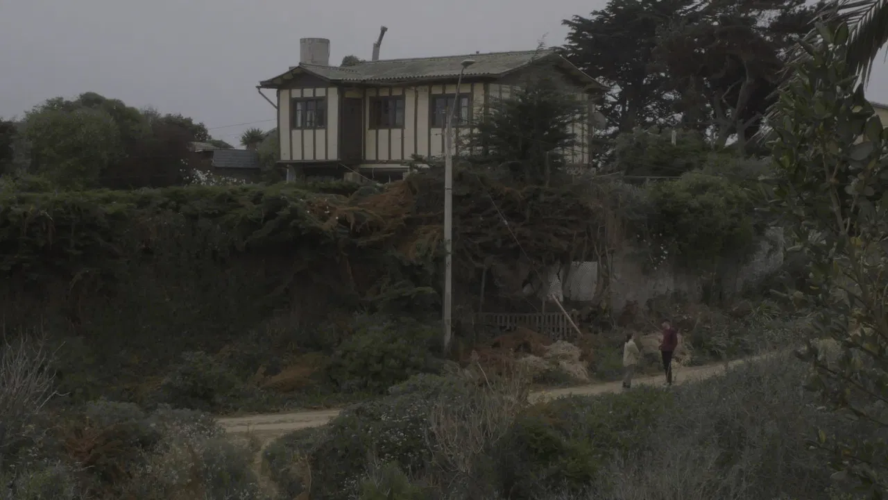 Fin del verano backdrop