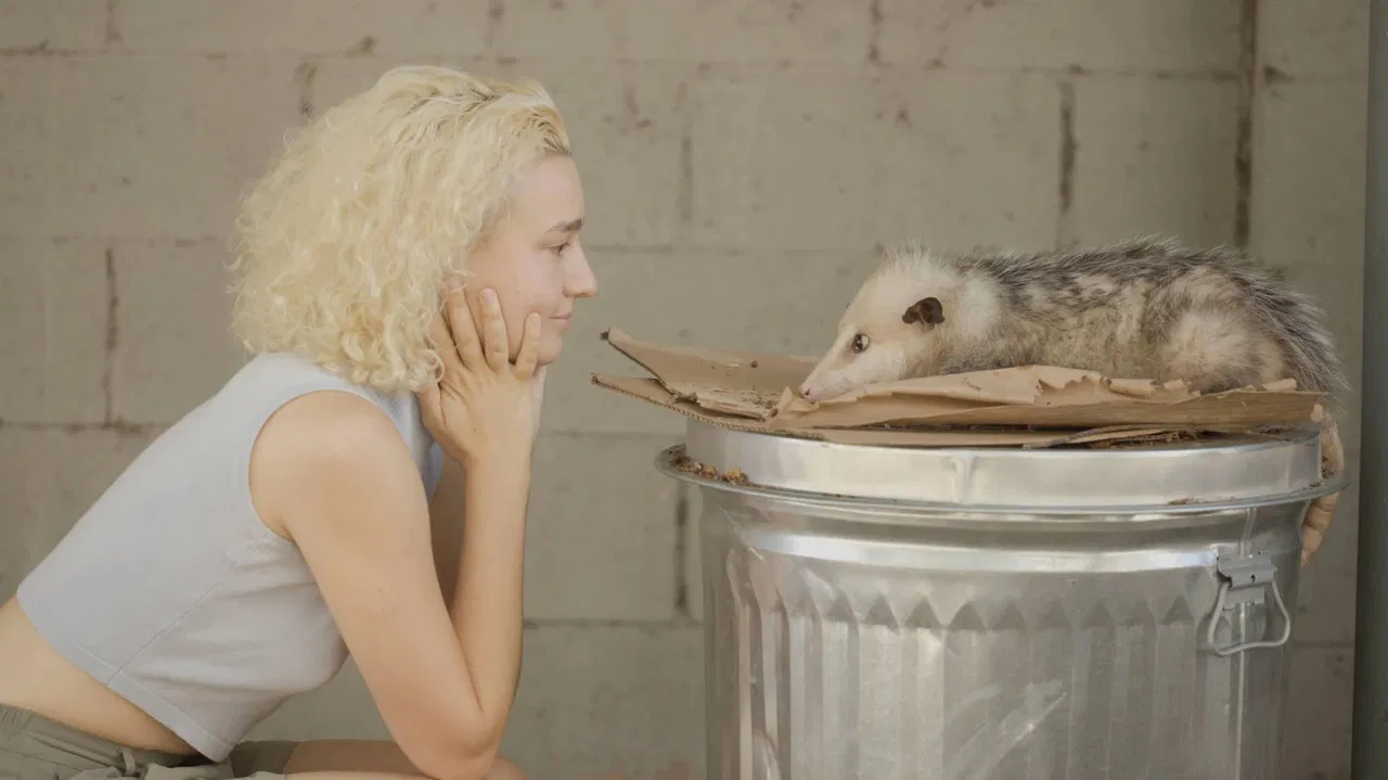 Beethoven's Great Great Great Great Great Grandchild backdrop