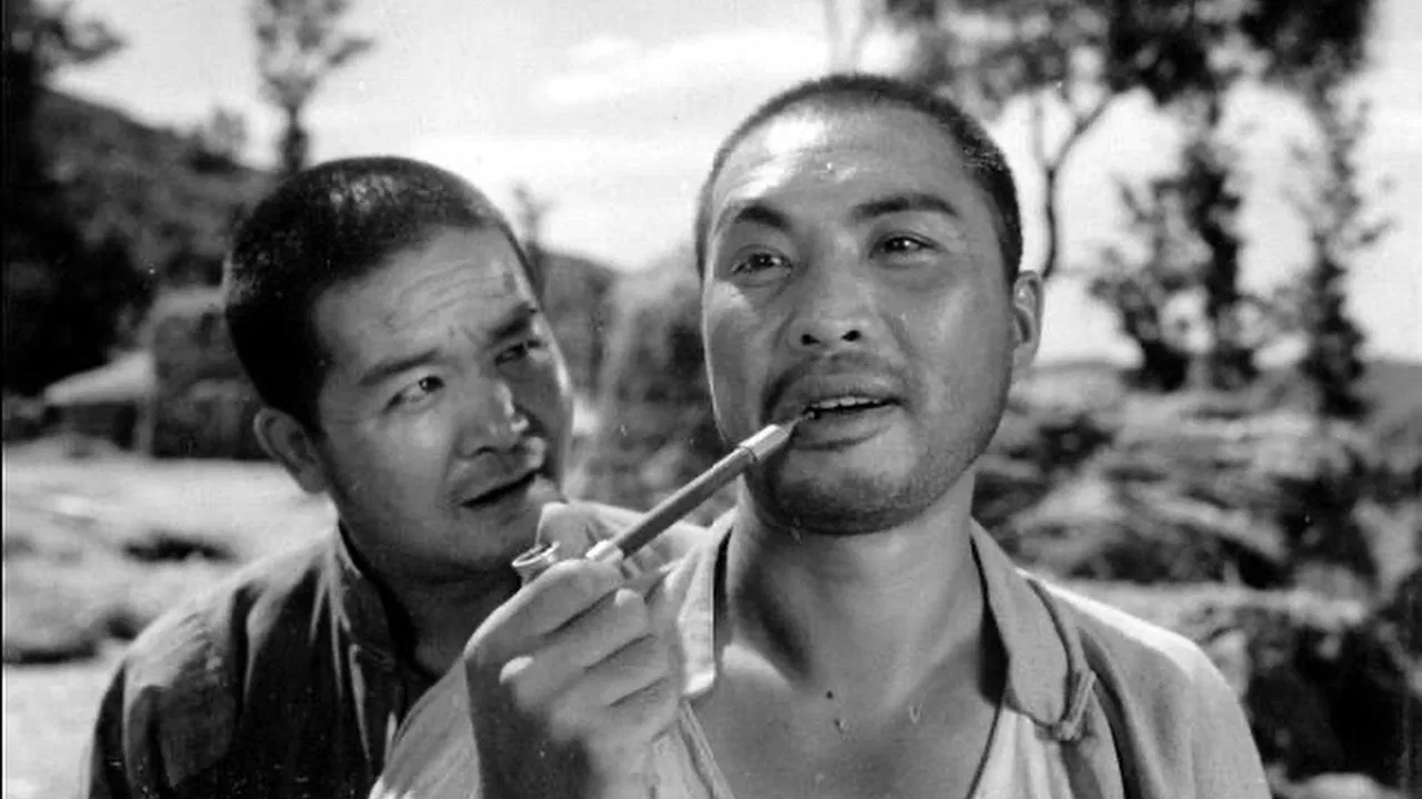 丰收之后 backdrop