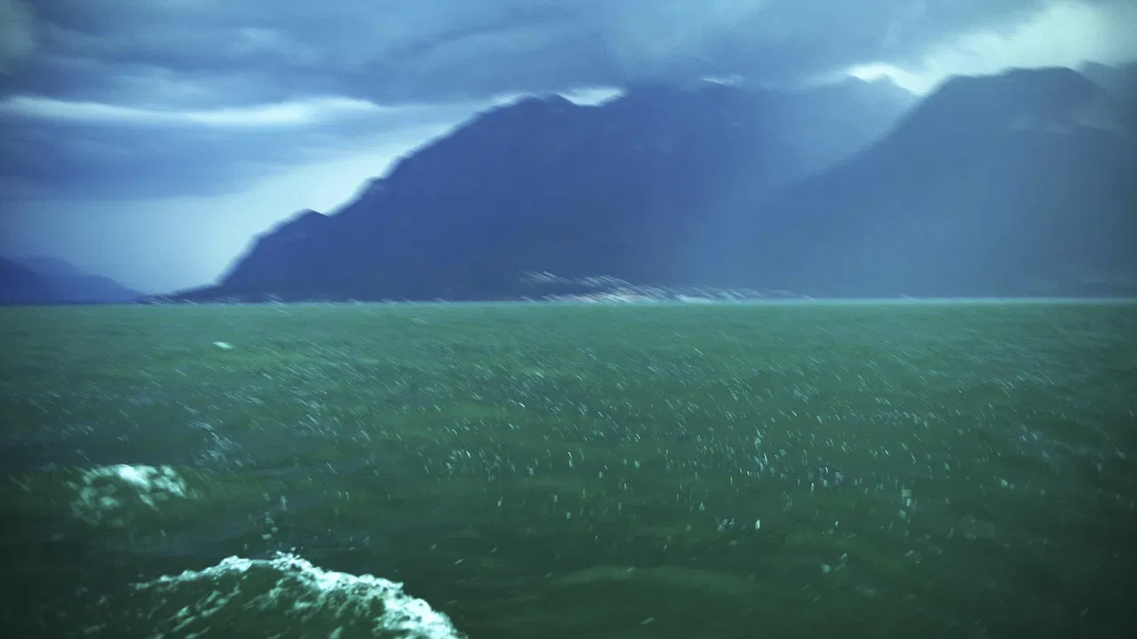 Lakeside Suite backdrop