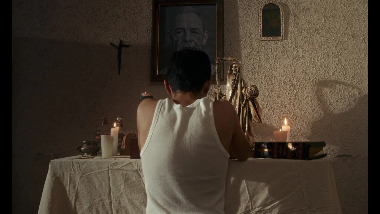 Beyond the Gift backdrop