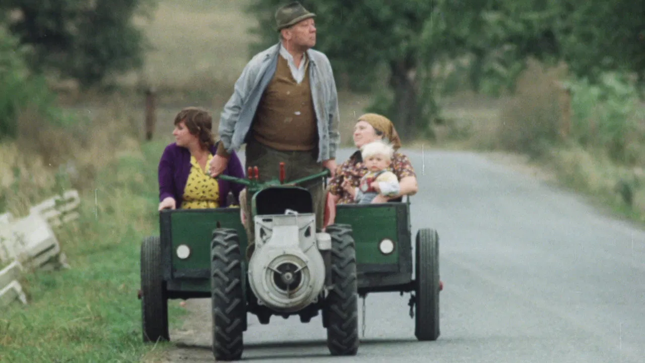 The Snowdrop Festival backdrop