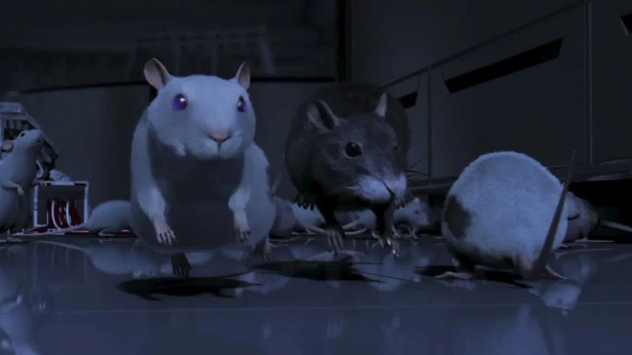 One Rat Short backdrop