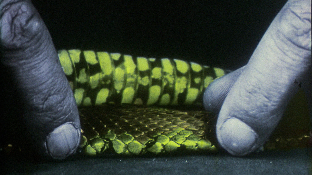 en el río manso backdrop