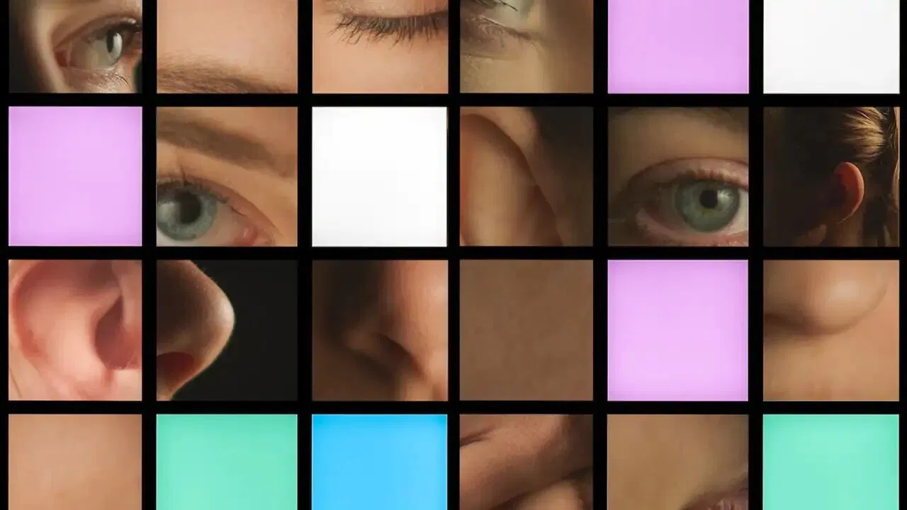 Made to Measure: A Digital Search for Traces backdrop