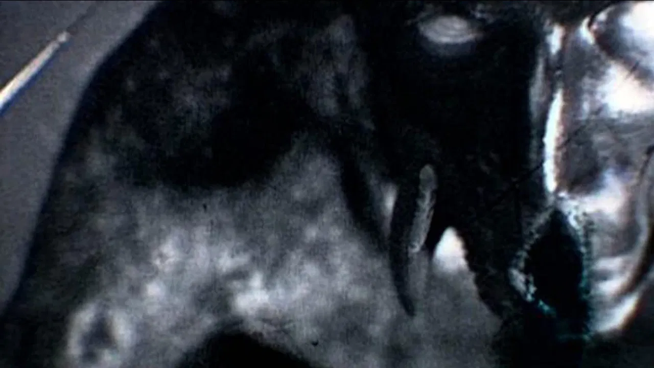 Kanashibara backdrop