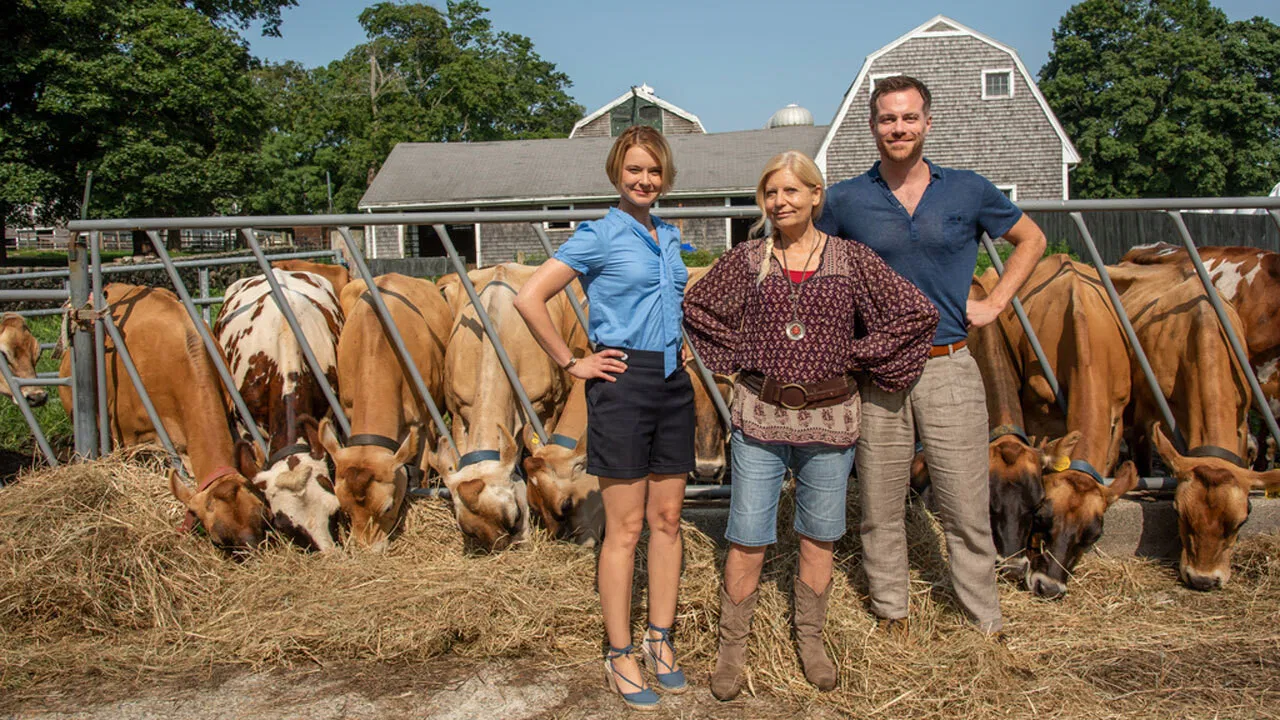 Katie Fforde: Wachgeküsst backdrop