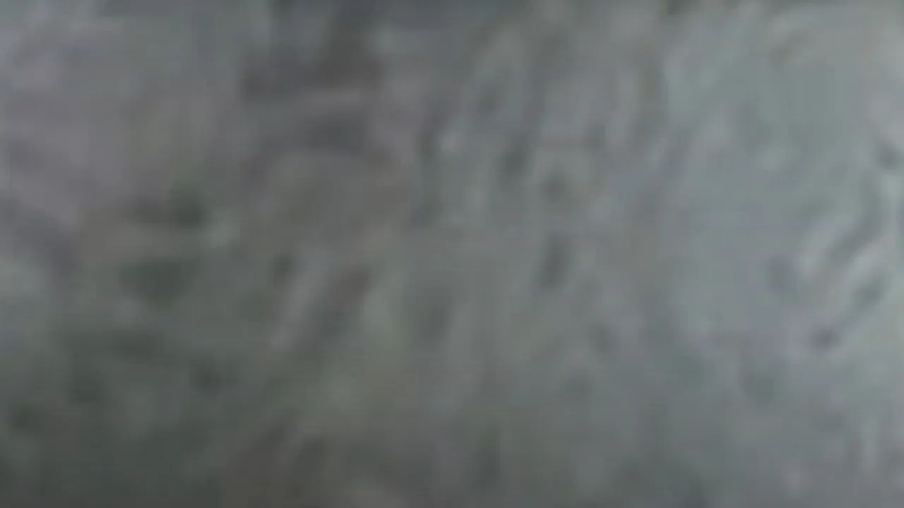 Brower's Blog backdrop