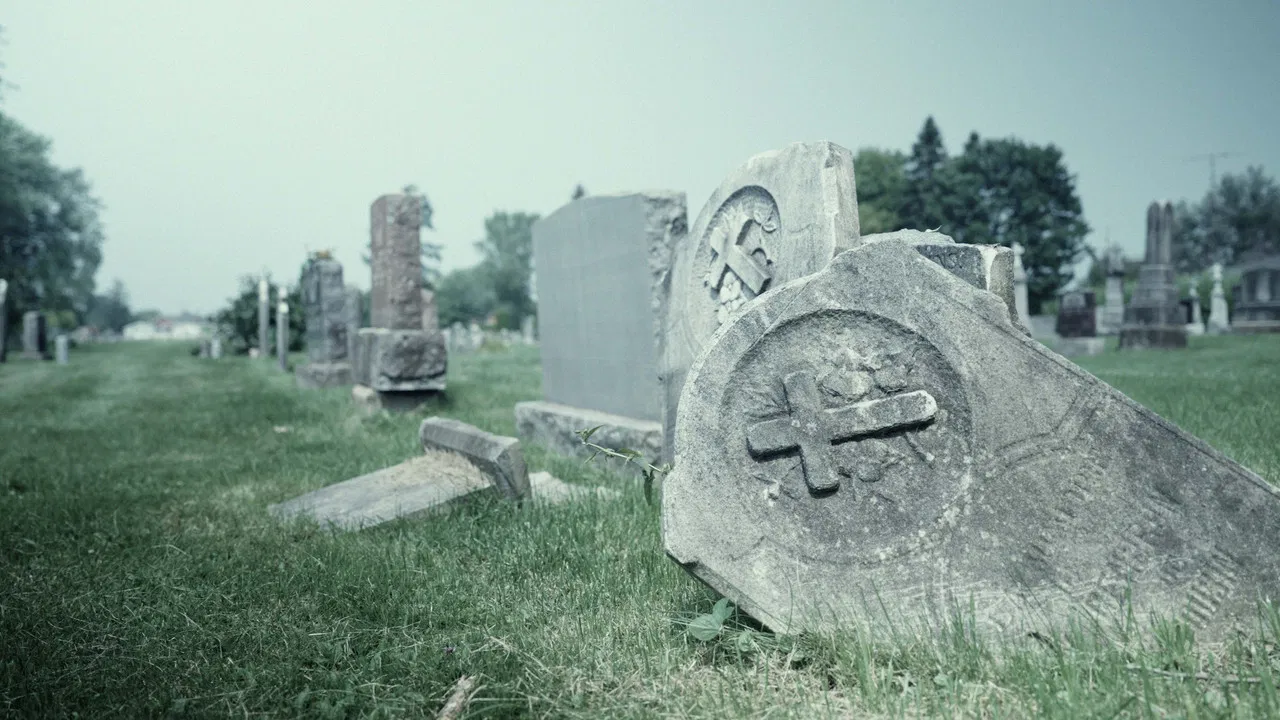 10 days later backdrop